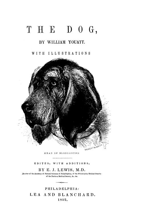 1852 "The Dog" 