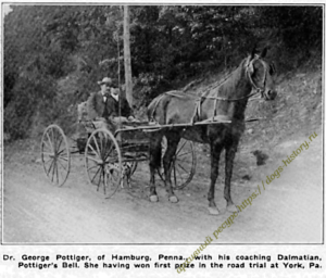"The Dalmatian, or (coach dog), his supposed origin ... also breeding and buying" 1907