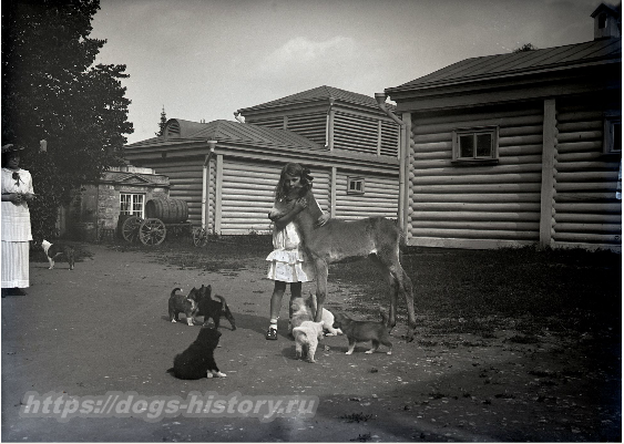 Борис Дмитриевич Востряков (1875–1937)