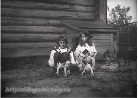 Борис Дмитриевич Востряков (1875–1937)