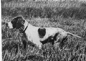 Борис Дмитриевич Востряков (1875–1937)