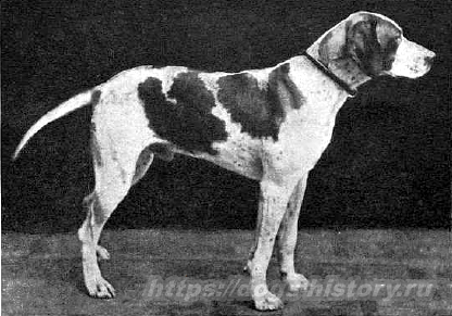 Борис Дмитриевич Востряков (1875–1937)
