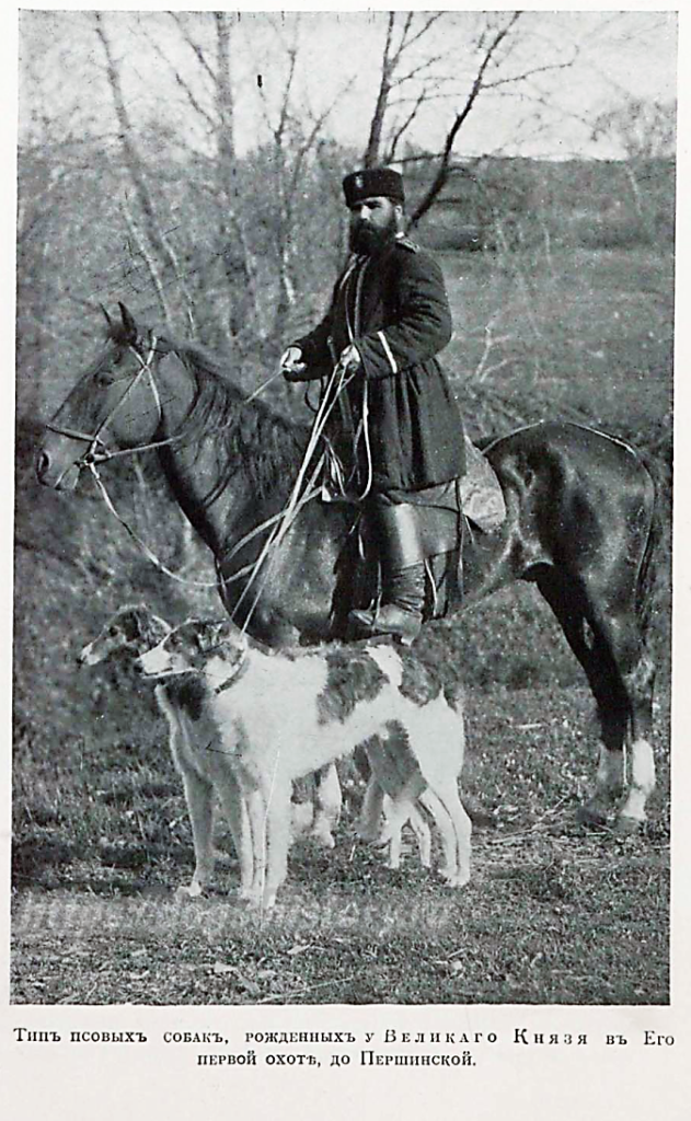 1913 "ПСОВАЯ ОХОТА " Дмитрий Вальцов