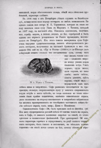 https://dogs-history.ru/wp-content/uploads/2020/03/3-3-205x300.png
