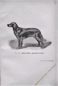 https://dogs-history.ru/wp-content/uploads/2020/03/4-2-204x300.png