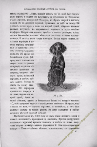 https://dogs-history.ru/wp-content/uploads/2020/03/5-2-199x300.png