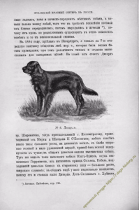 https://dogs-history.ru/wp-content/uploads/2020/03/8-1-199x300.png