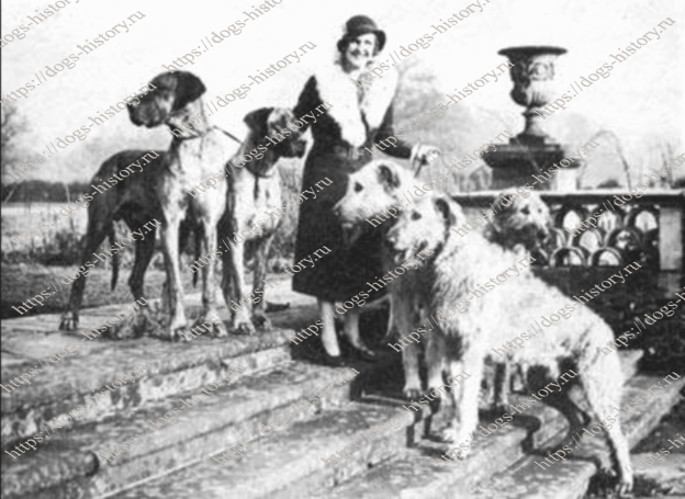 OUBOROUGH KENNELS