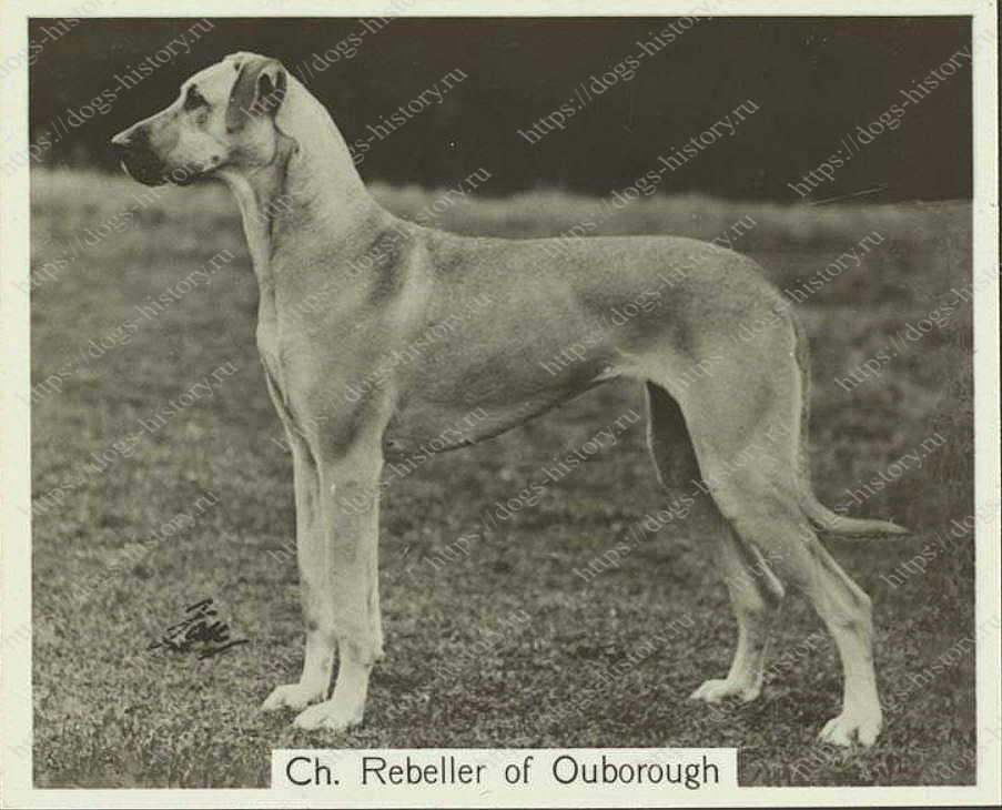 OUBOROUGH KENNELS