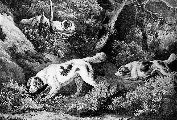 The Setter ,the author: T. C. Turner ,1919