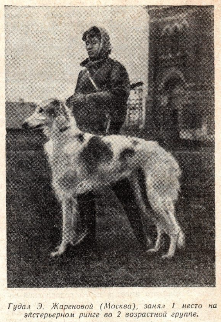 https://dogs-history.ru/wp-content/uploads/2021/05/3.png