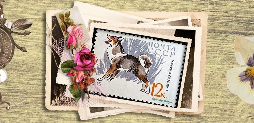 Коллекция открыток — A JOHN SINCLAIR LTD CIGARETTE CARD ALBUM1938 (США)