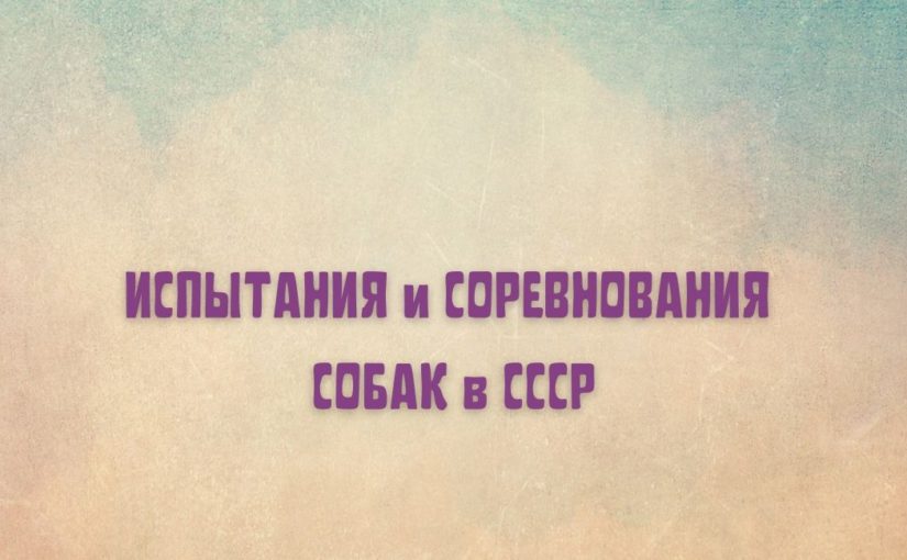 1931-Московские городские испытания служебных собак ОСОАВИАХИМ Московской области