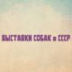 выставки собак