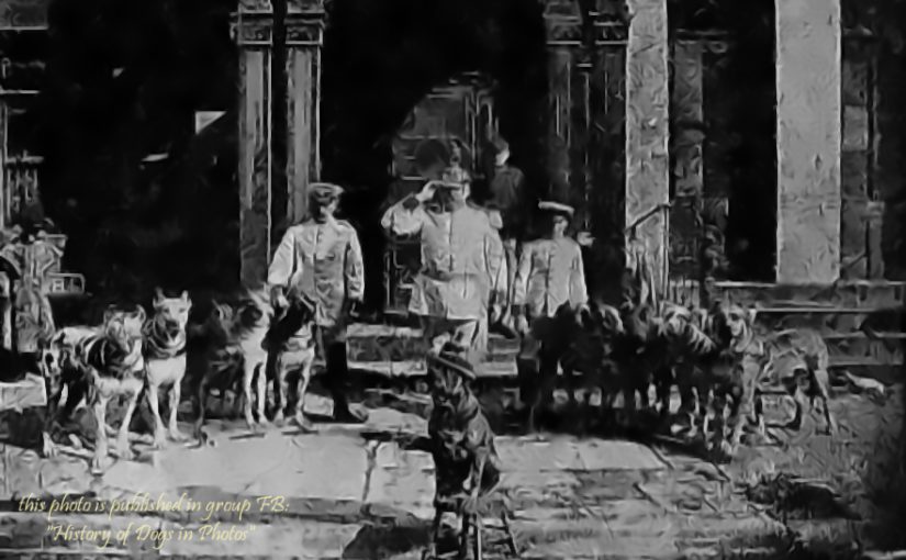 «The Dog Show»-1897,New York Times,US