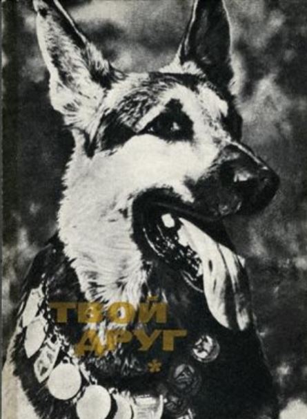 1973 "ТВОЙ ДРУГ" 1973 "ТВОЙ ДРУГ"