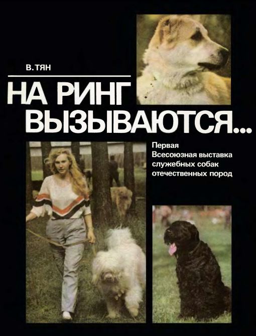 1990 "На ринг вызываются..." автор В.Тян 1990 "На ринг вызываются..." автор В.Тян