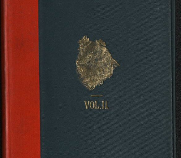 Племенные книги колли 1891-1892 The Collie stud book